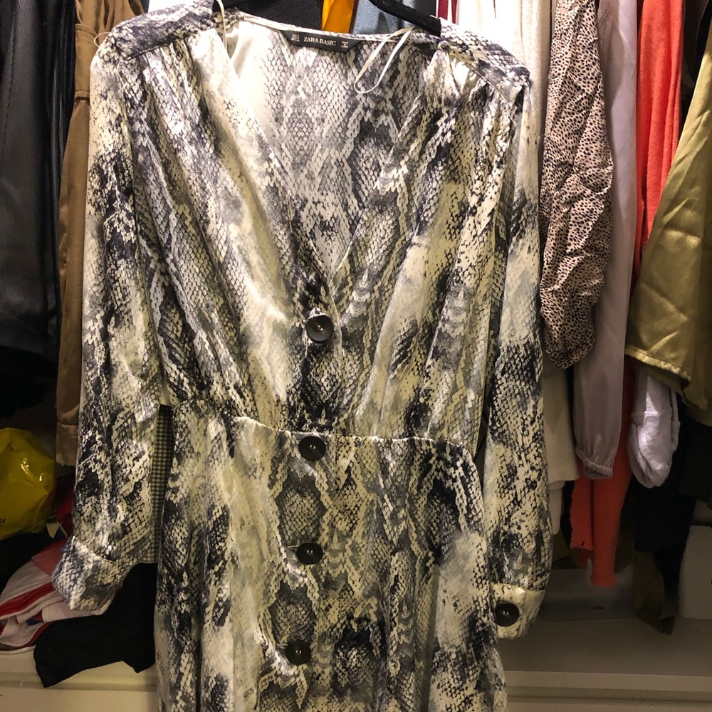 ZARA snake print dress